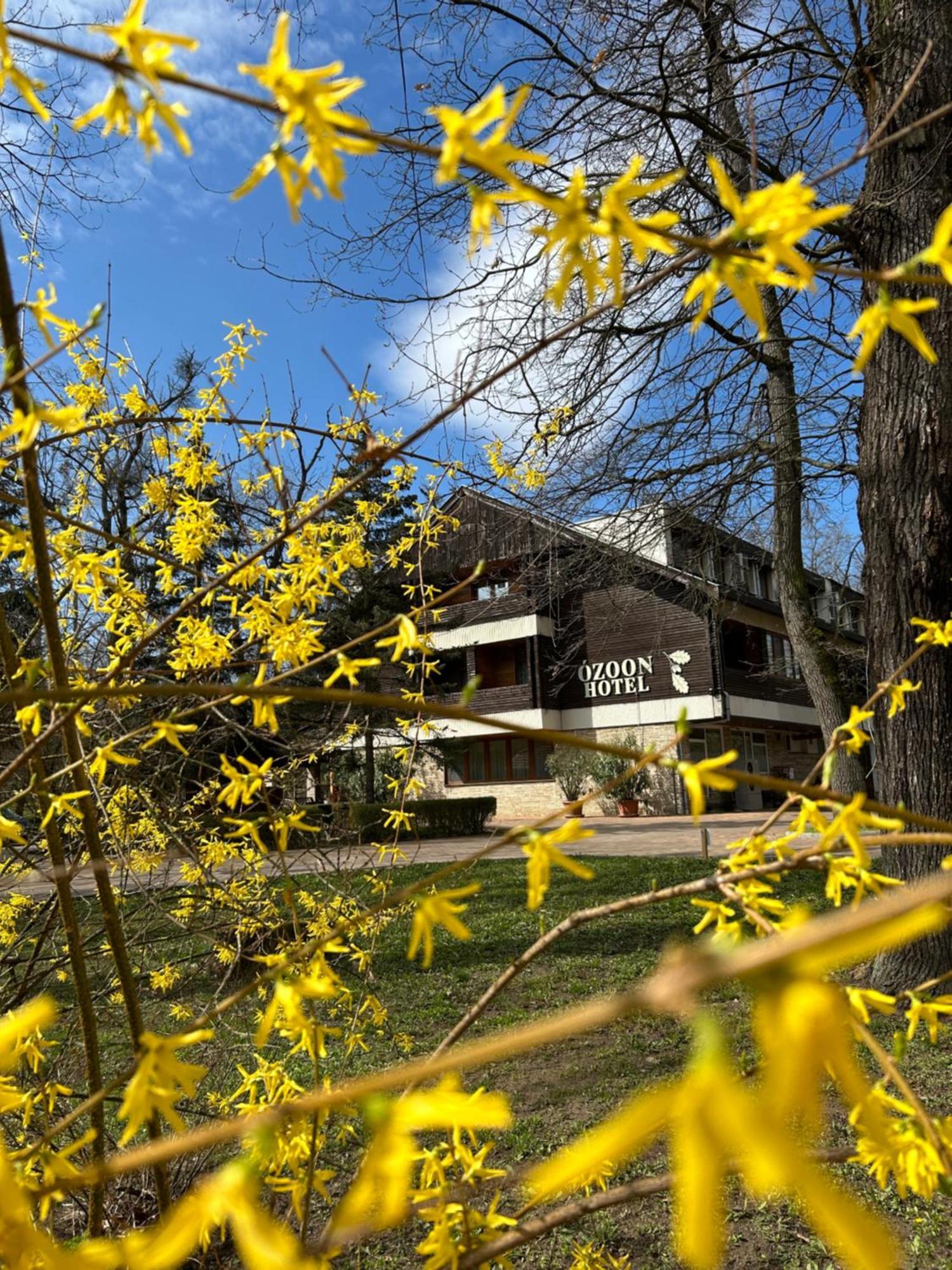 Ozoon Hotel Mestecǎneşti Exterior foto